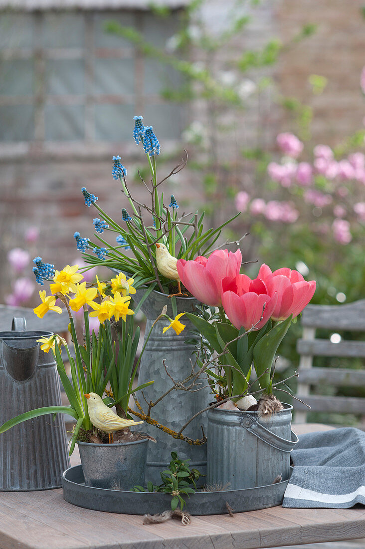 Table Arrangement With Tulips, Daffodils And Grape Hyacinths