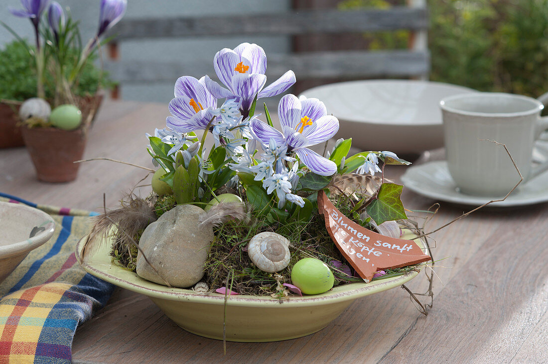 Bowl With Crocus And Blue Oysters As Table Decoration