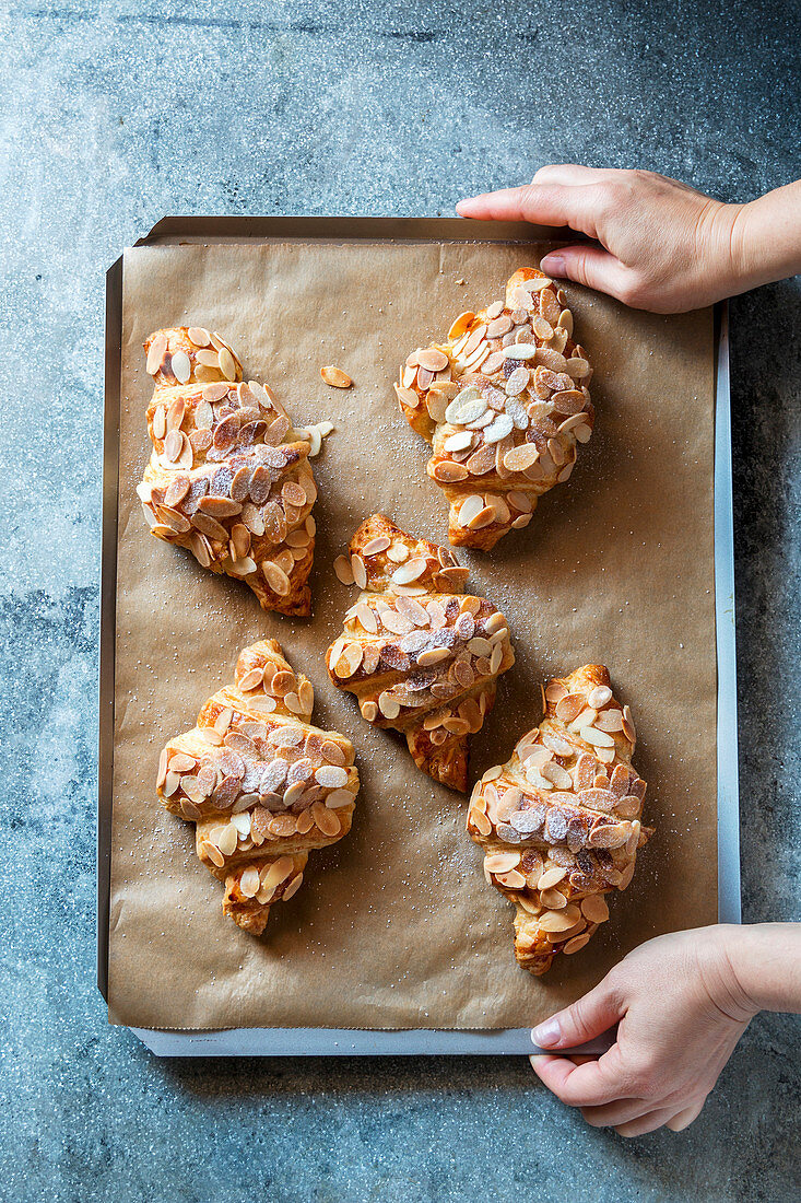 Frisch gebackene Mandel-Croissants auf Backblech (Aufsicht)