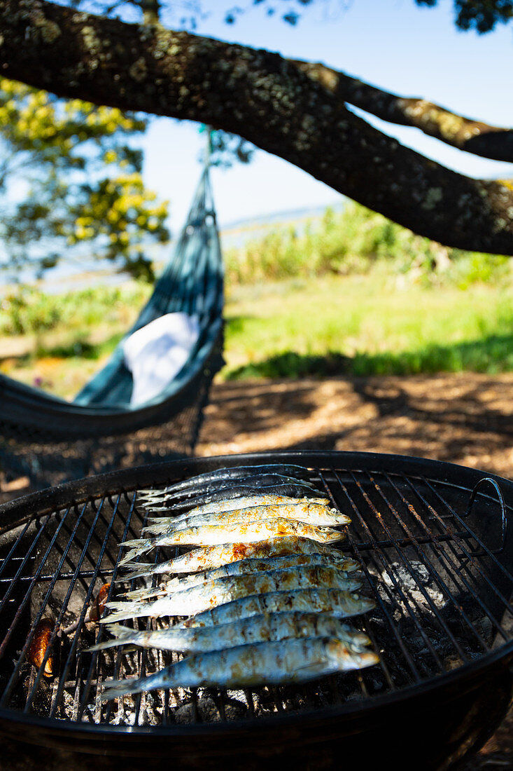 Sardinen auf dem Grill unter Baum