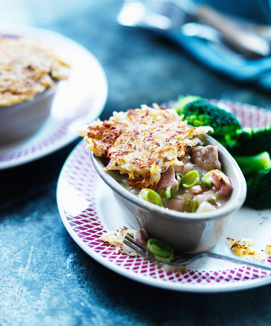 Chicken pot pie with broccoli and leek