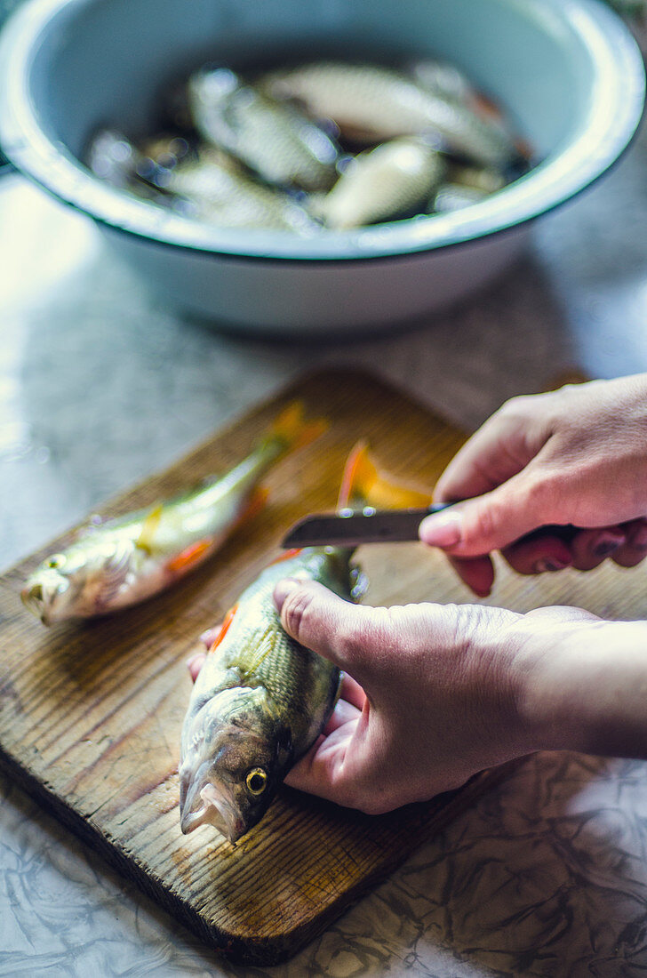 Fish being prepared