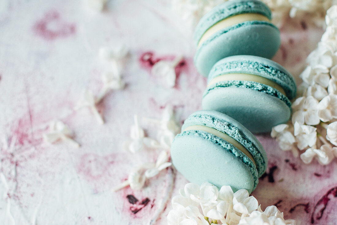 Blaue Macarons und weisser Flieder