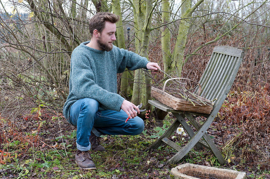 Man puts freshly cut branches in basket