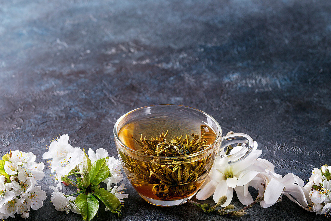 Glass cup of hot green tea with spring flowers white magnolia and cherry blooming branches over dark blue texture background