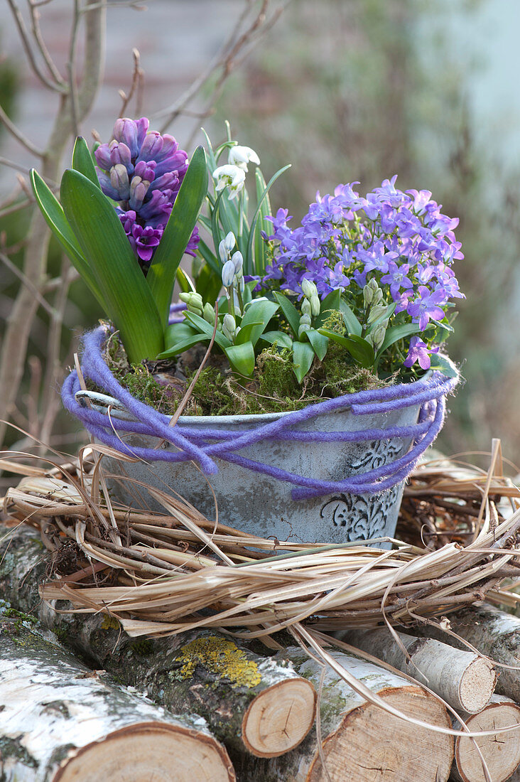 Spring bowl with bluebell and hyacinth