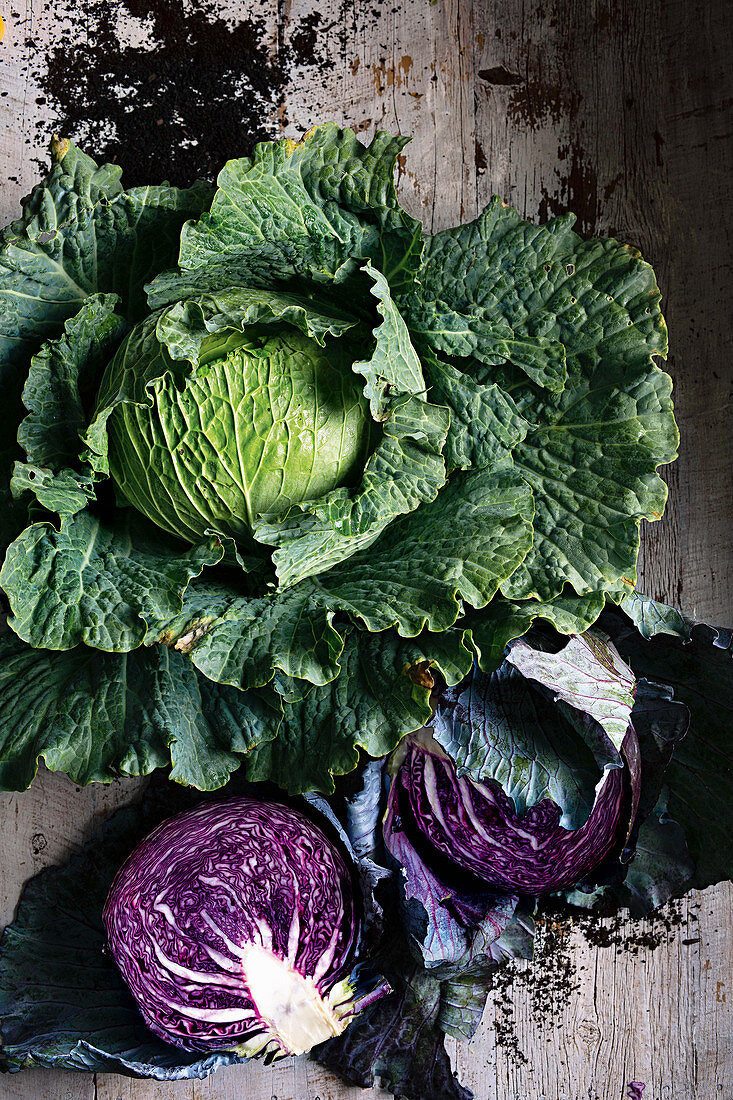 Savoy cabbage and a halved red cabbage