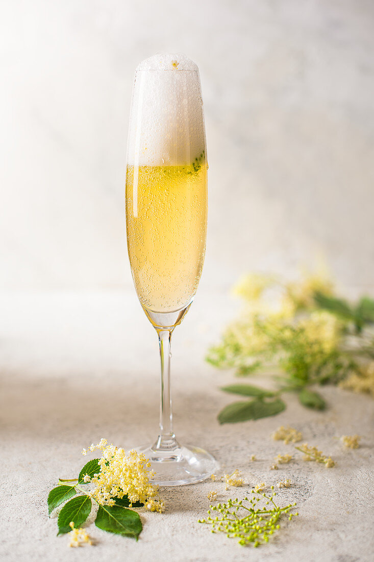 Glass of homemade elderflower champagne with fresh elderflowers