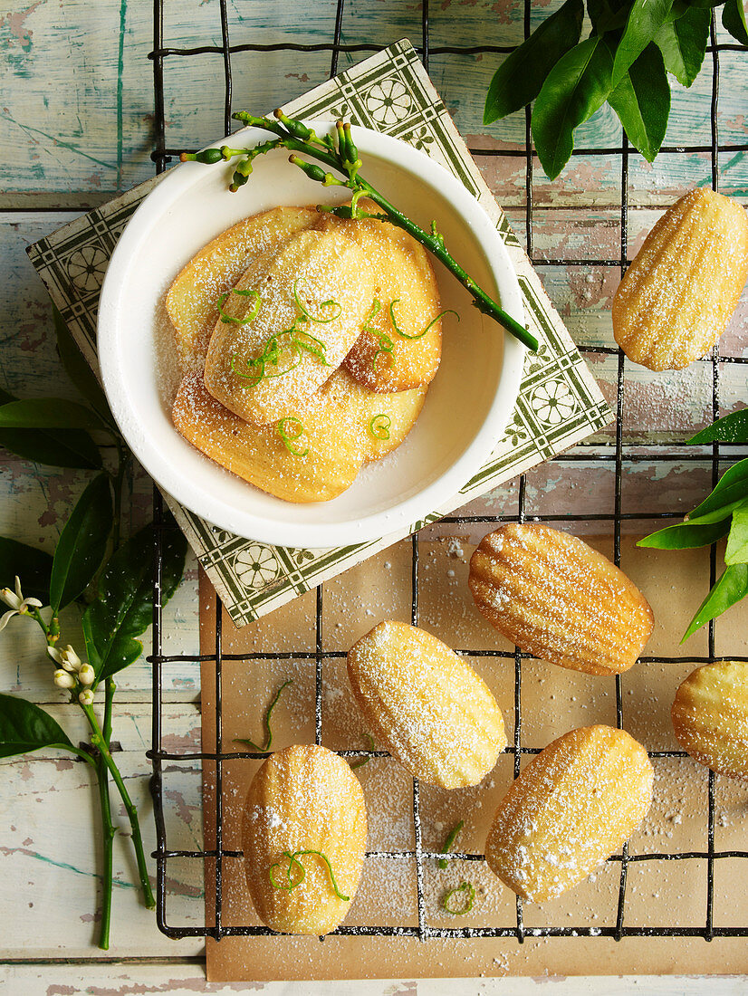 Lime and Vanilla Madeleines