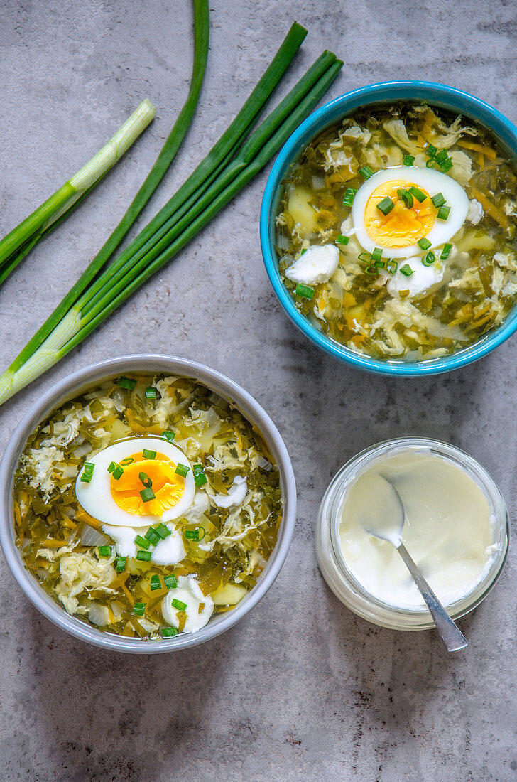 Vegetable soup with hard boiled eggs and spring onions