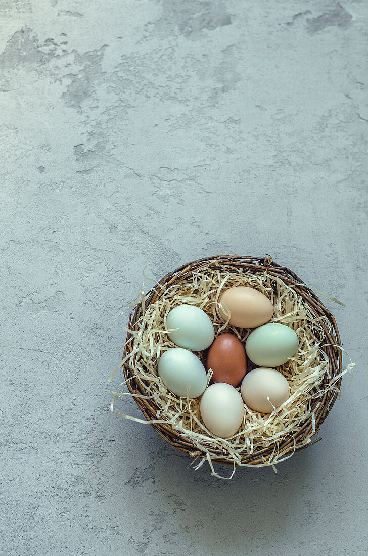 Different coloured eggs in a nest