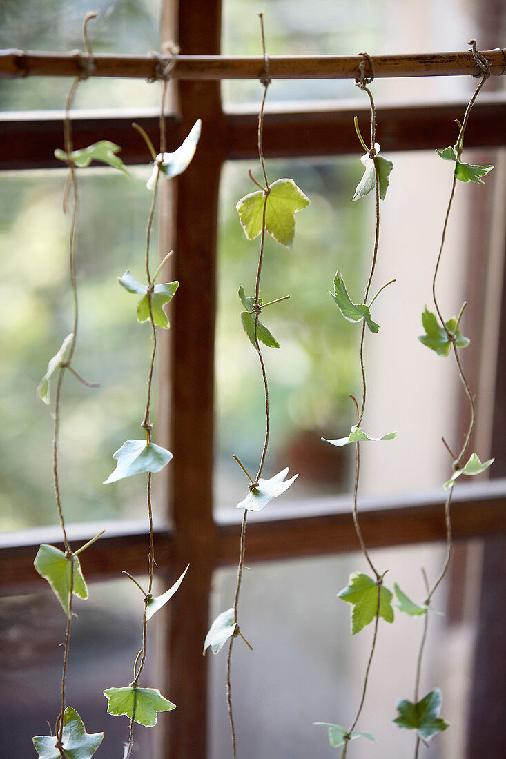 Girlande aus Efeu-Blättern als Fensterdekoration