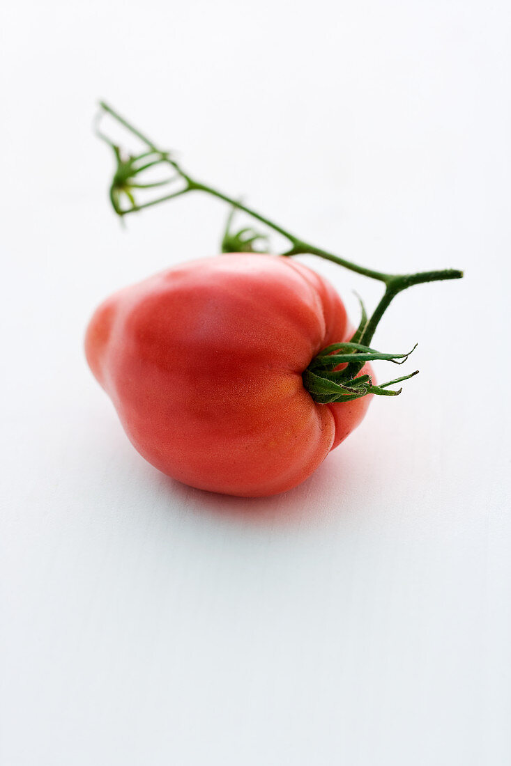 'Oxheart' (tomato variety)
