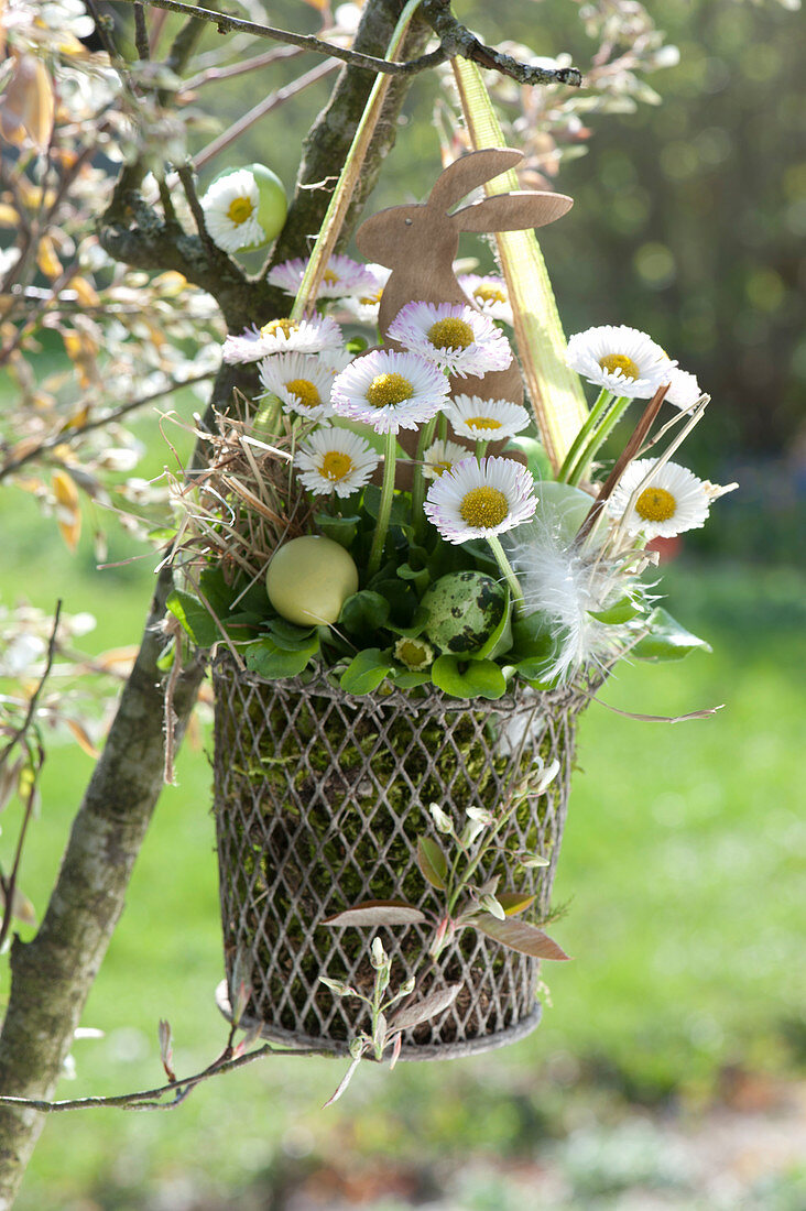 Basket of daisies hung on the tree