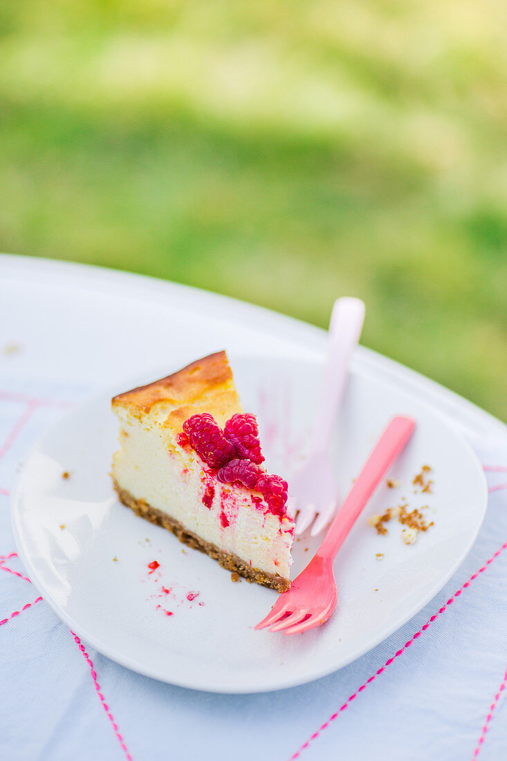 Ein Stück klassischer Käsekuchen mit Boden