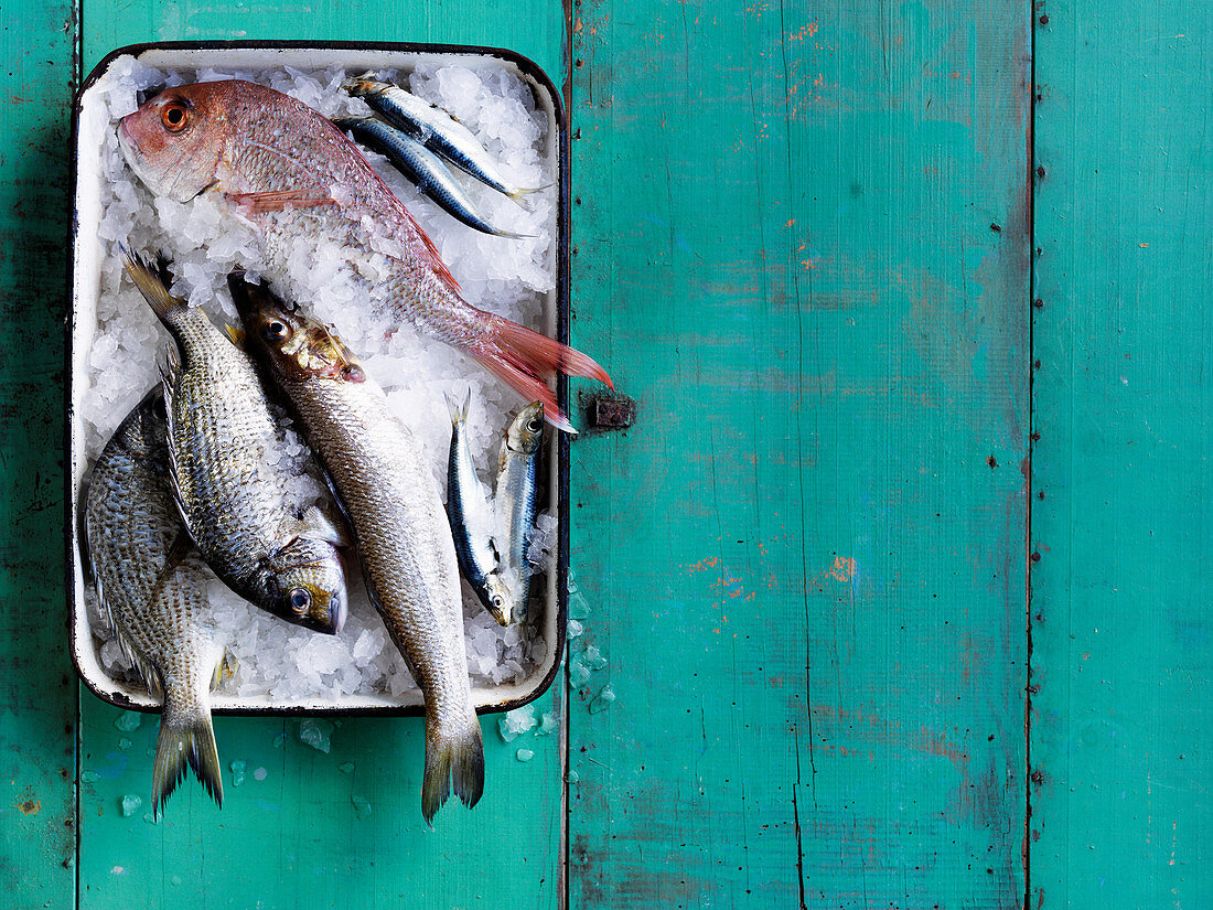 Verschiedene rohe Fische auf Eis