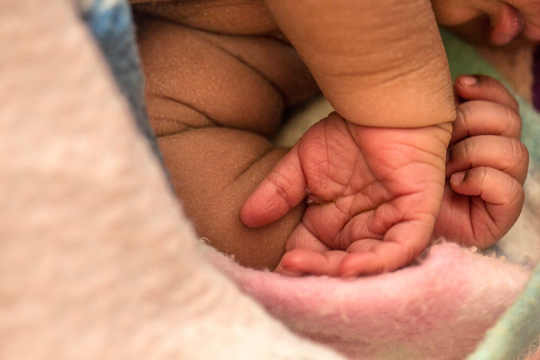 Baby's hands