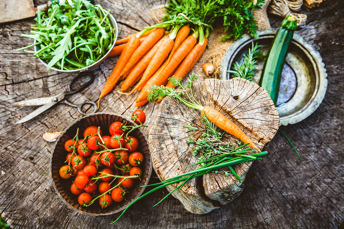 Freshly harvested vegetables:, tomatoes, rocket carrots and courgette