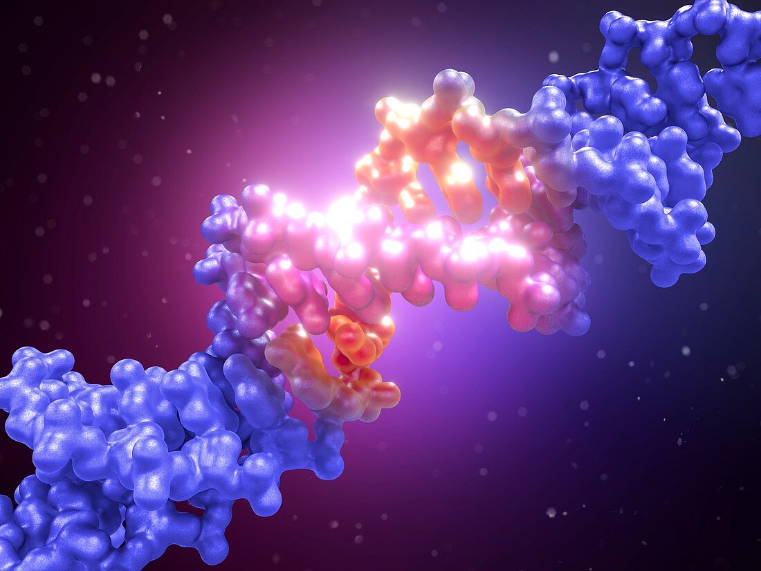 DNA editing, conceptual illustration