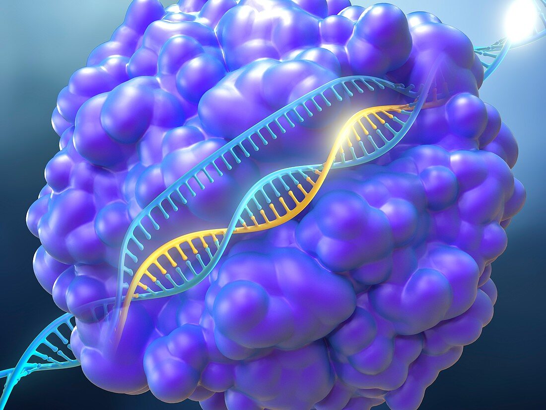 CRISPR-Cas9 gene editing complex, illustration