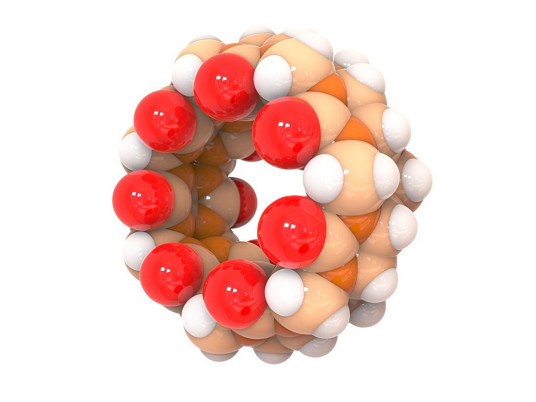 Cucurbituril cyclic macromolecule, molecular model