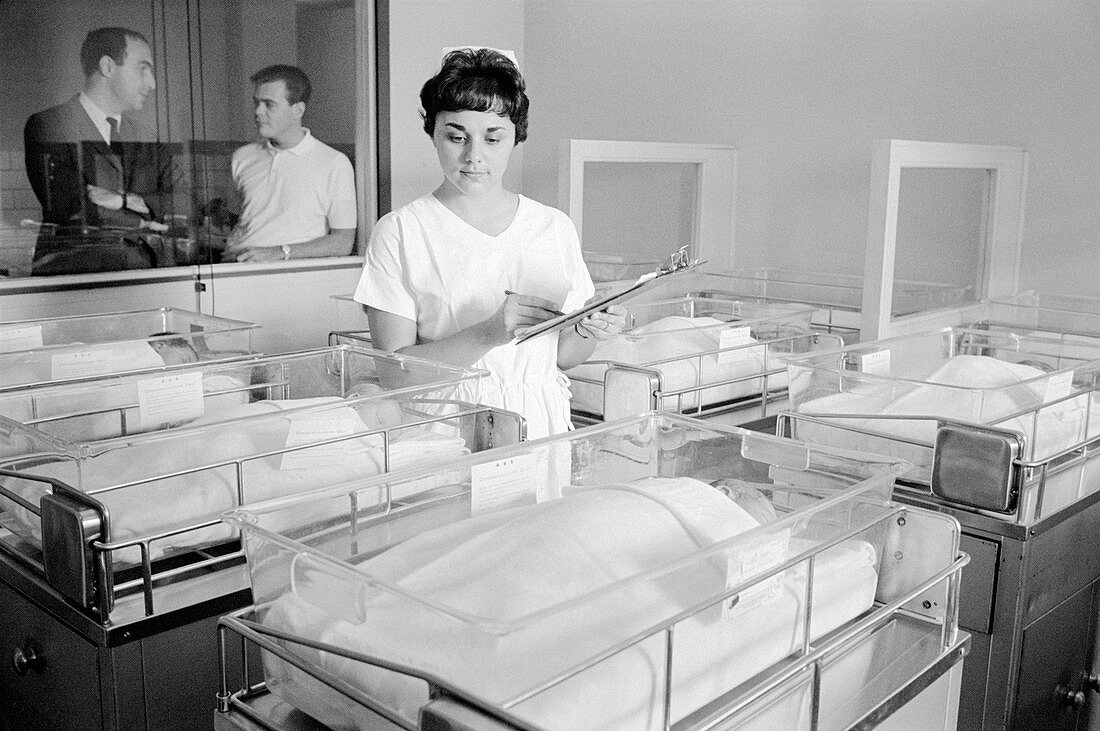 Newborn babies and nurse, 1960s