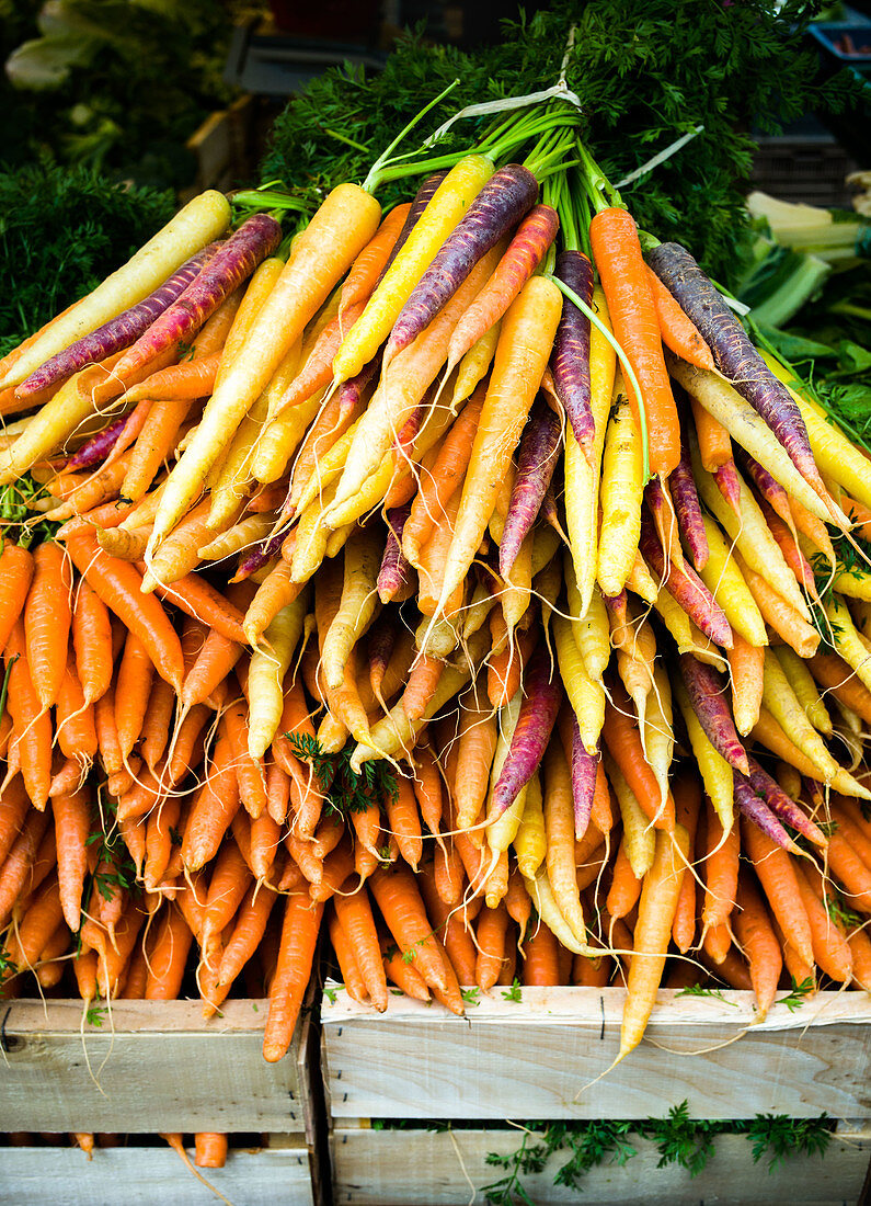 Multicolored carrots