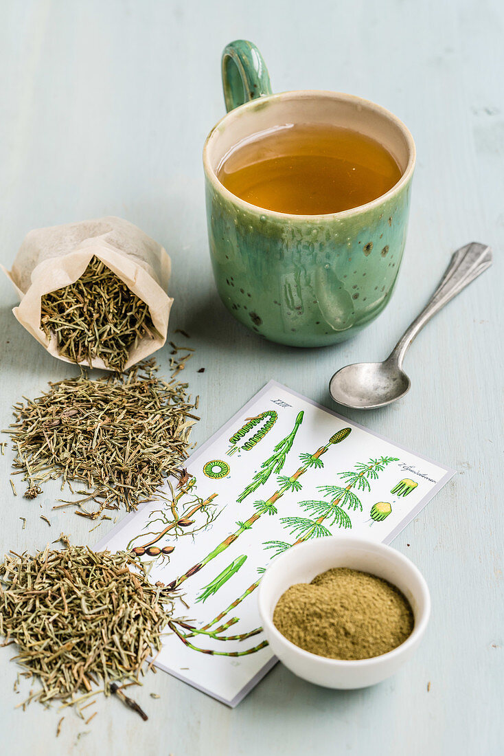Horsetail tea (Equisetum arvense)