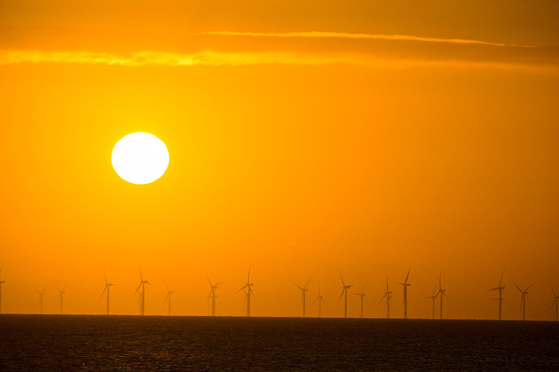 The sun setting behind the Walney Offshore Wind Farm, UK
