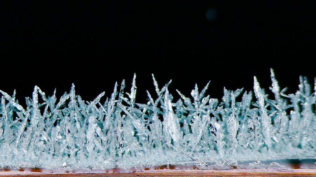 Silver crystals, metal displacement reaction