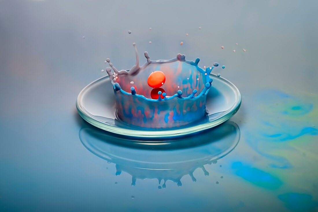 Water drop impact, high-speed photograph