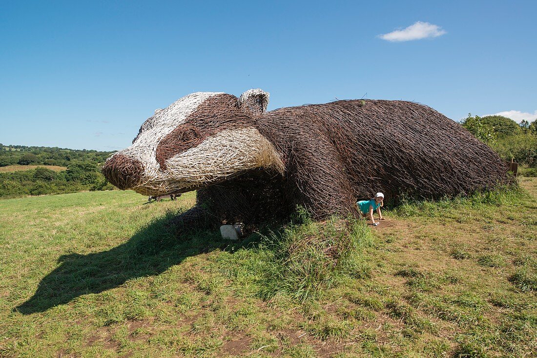 Large badger willow sculpture