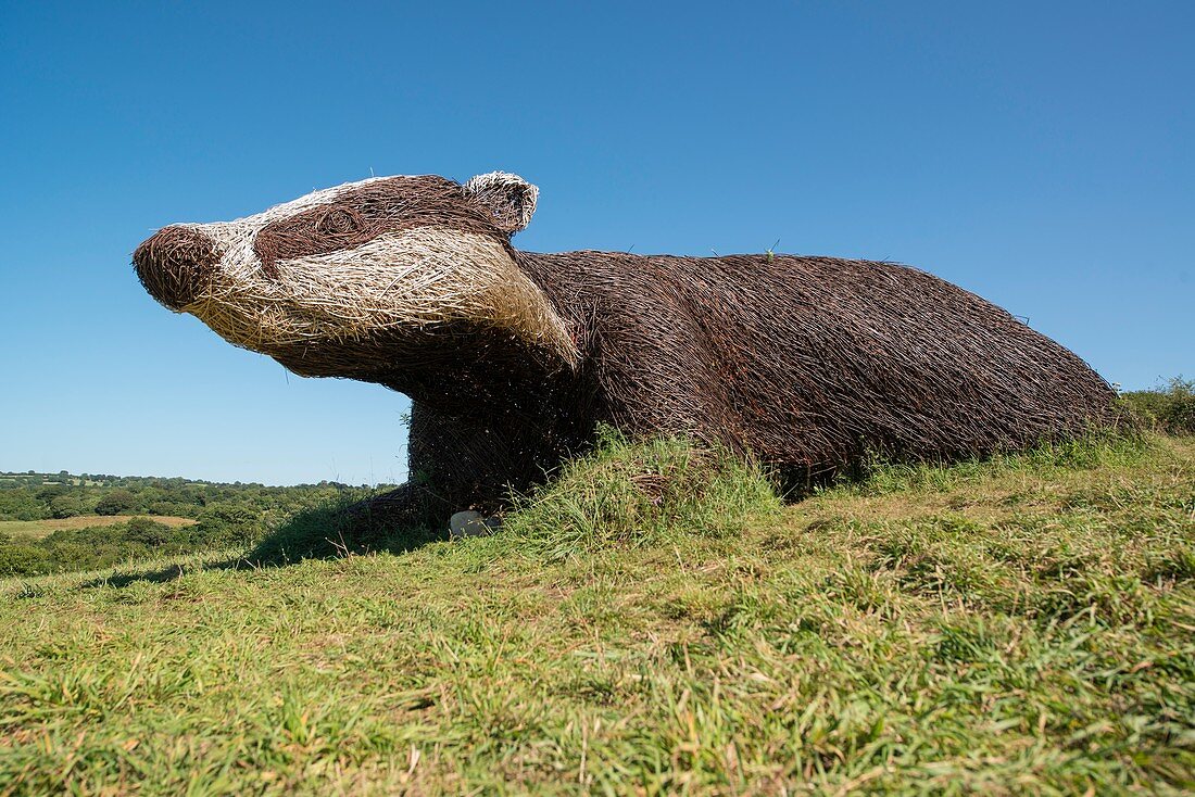 Large badger willow sculpture