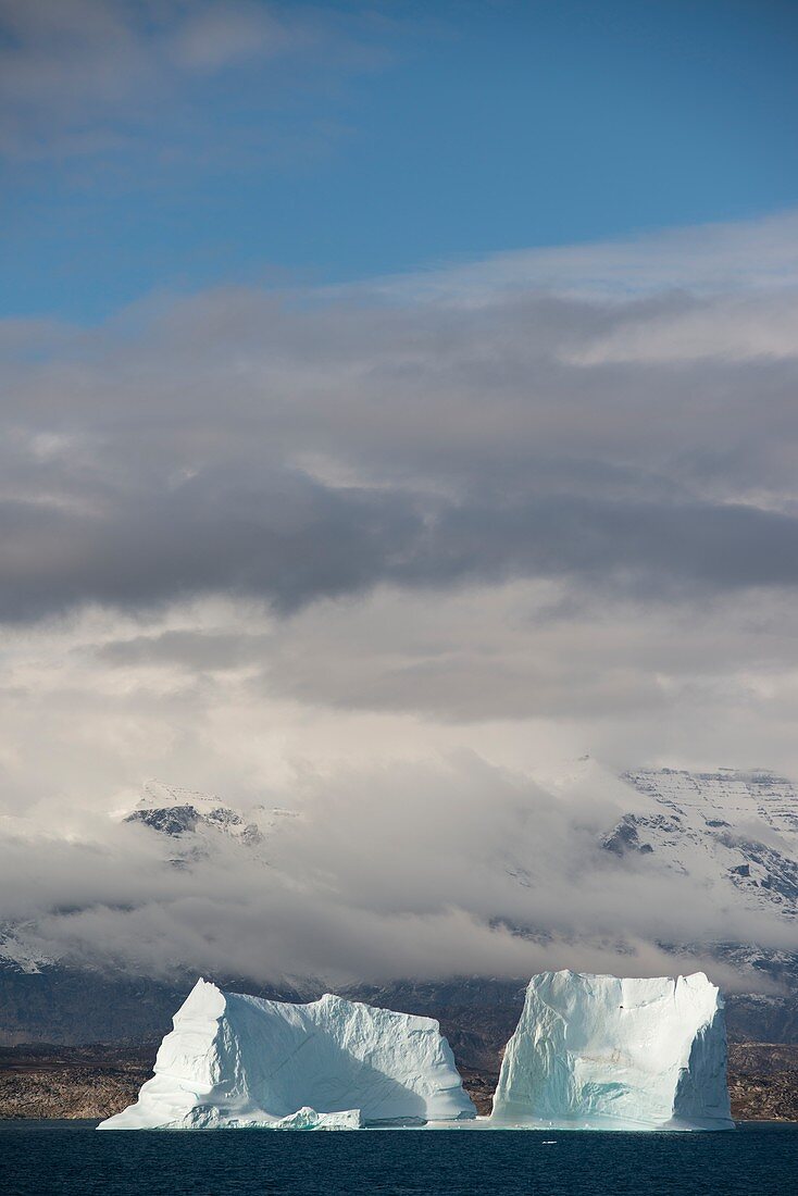 Very large icebergs in Scoresby Sund, Greenland