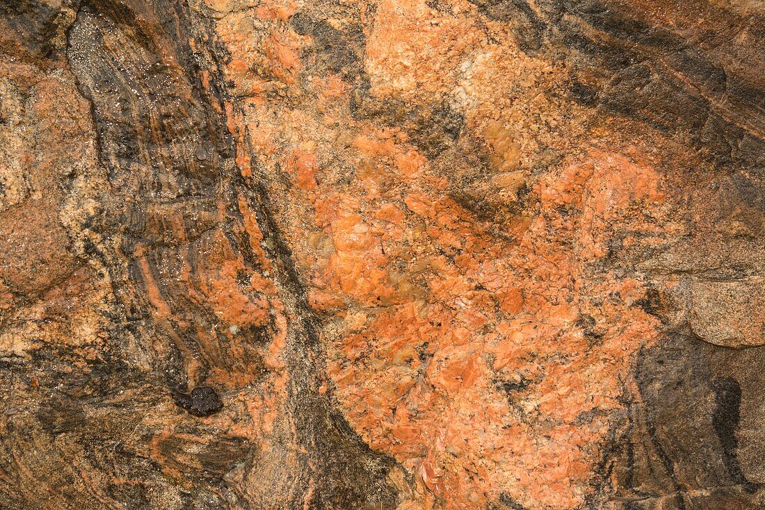 Granite gneiss, Danmark Island, Greenland