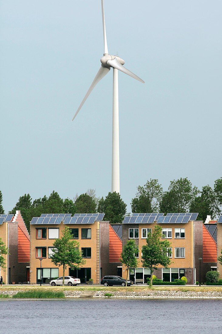 Wind turbine and houses with rooftop solar panels