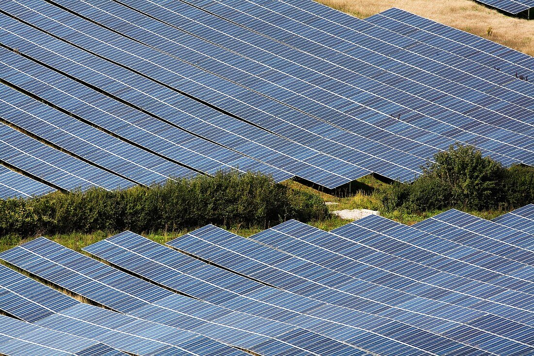 Milborne Port Solar Farm panels