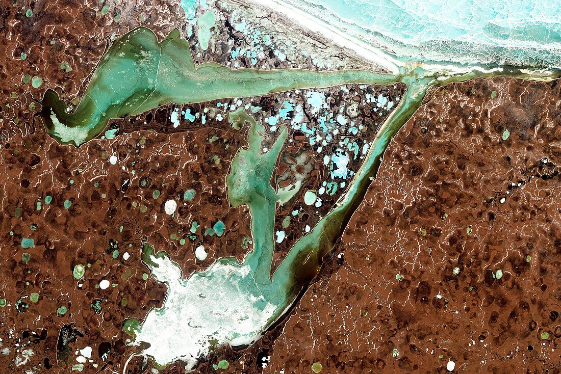 Thermokarst lakes and bays, Siberia, satellite image