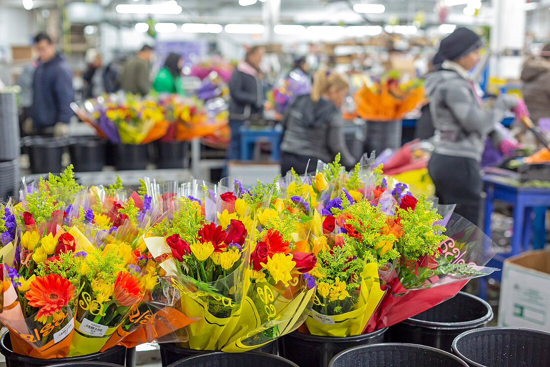 Imported flower warehouse, USA