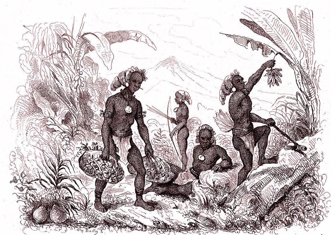 Melanesian men, 19th Century illustration
