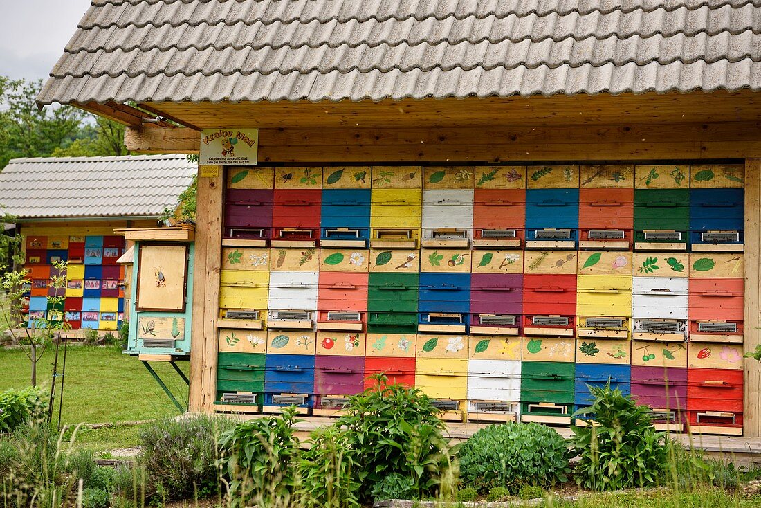 Traditional apiary, Slovenia