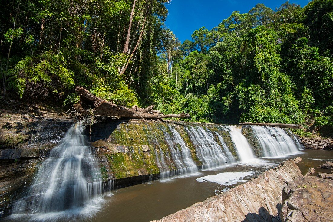 Imbak Falls, Borneo