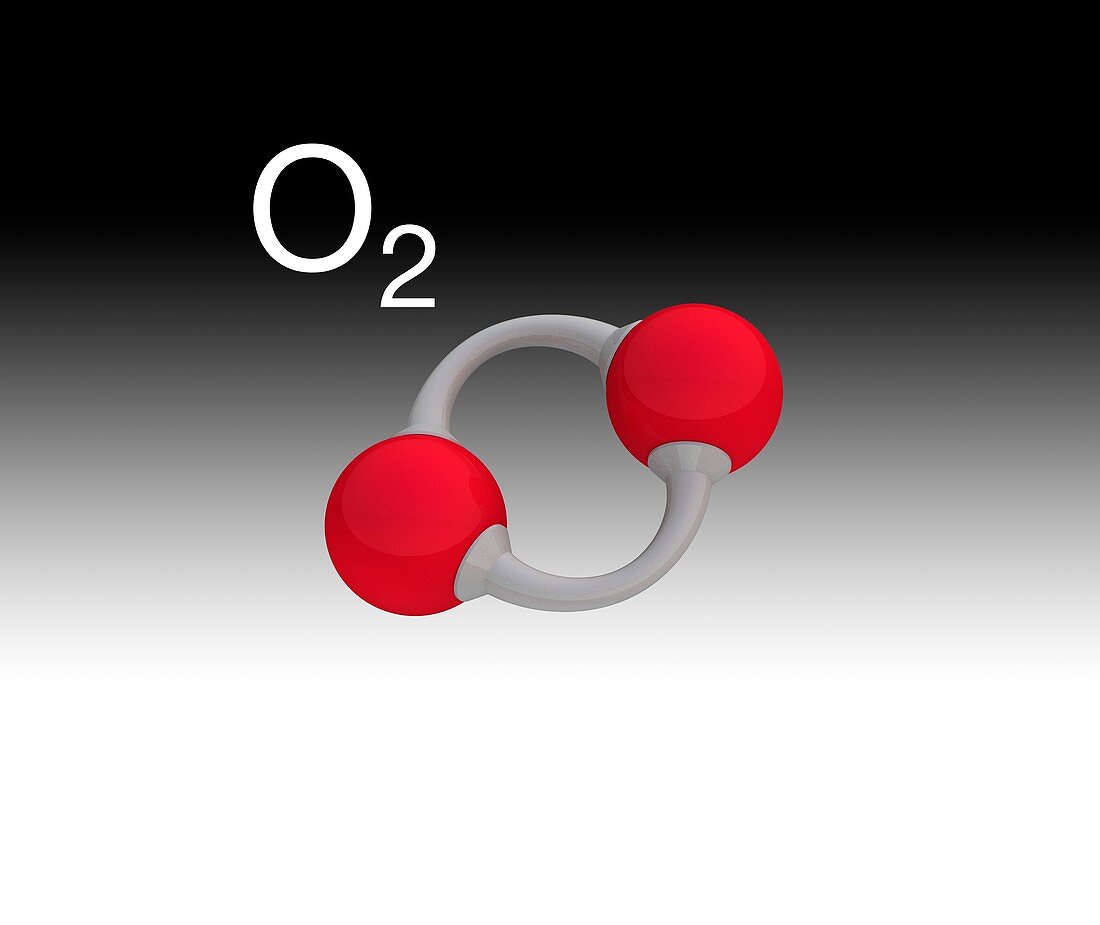 Oxygen molecule, illustration