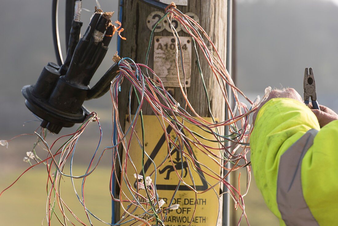 Telephone engineer repairing telephone lines