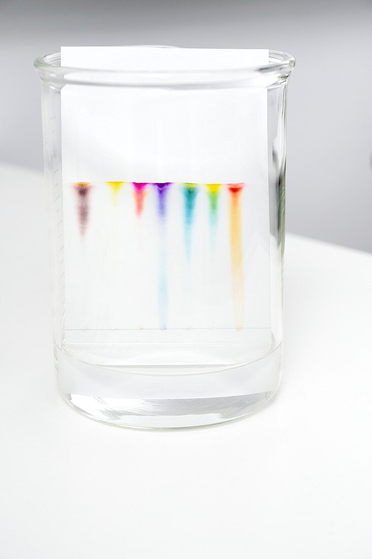 Chromatography of coloured inks