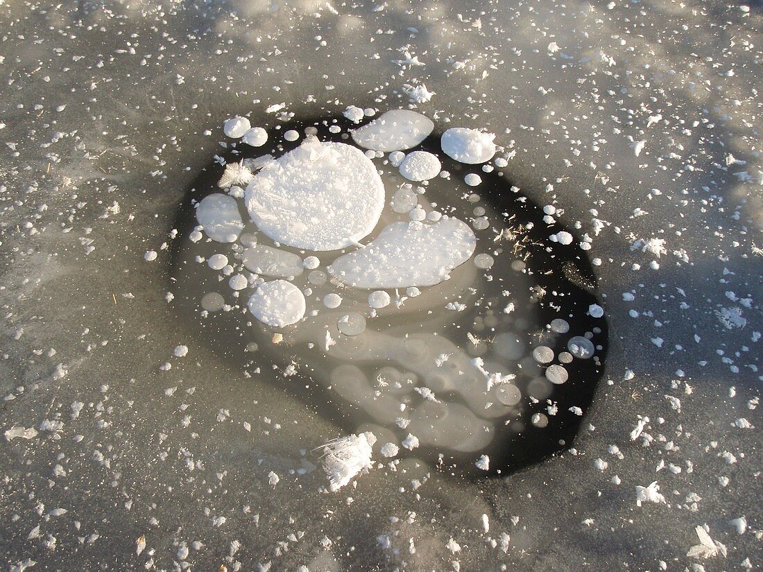 Methane bubbles in thermokarst lake ice