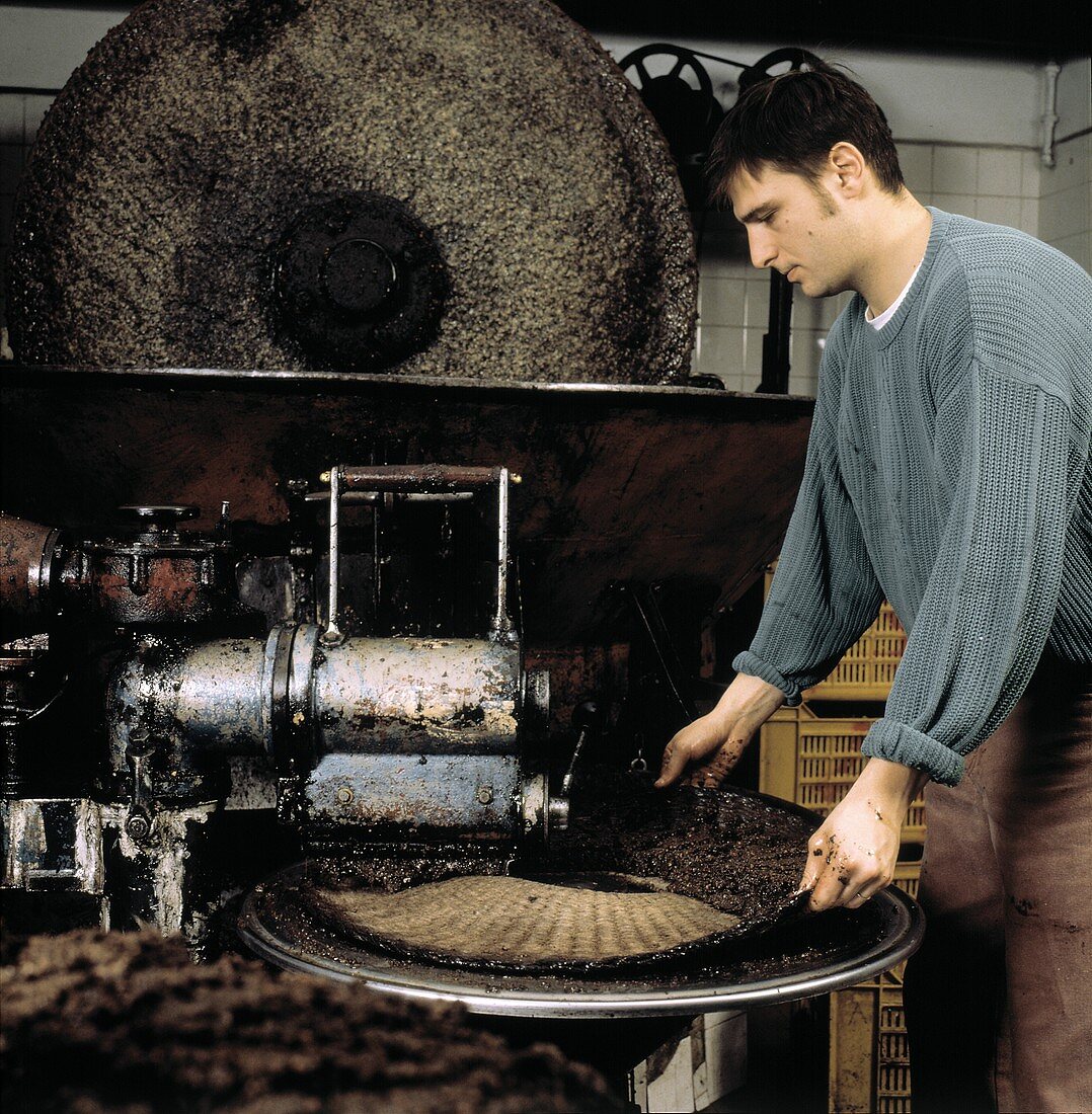 Men Working on the Production of Olive Oil