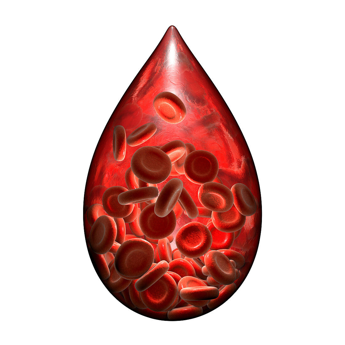 Hemophilia, conceptual illustration