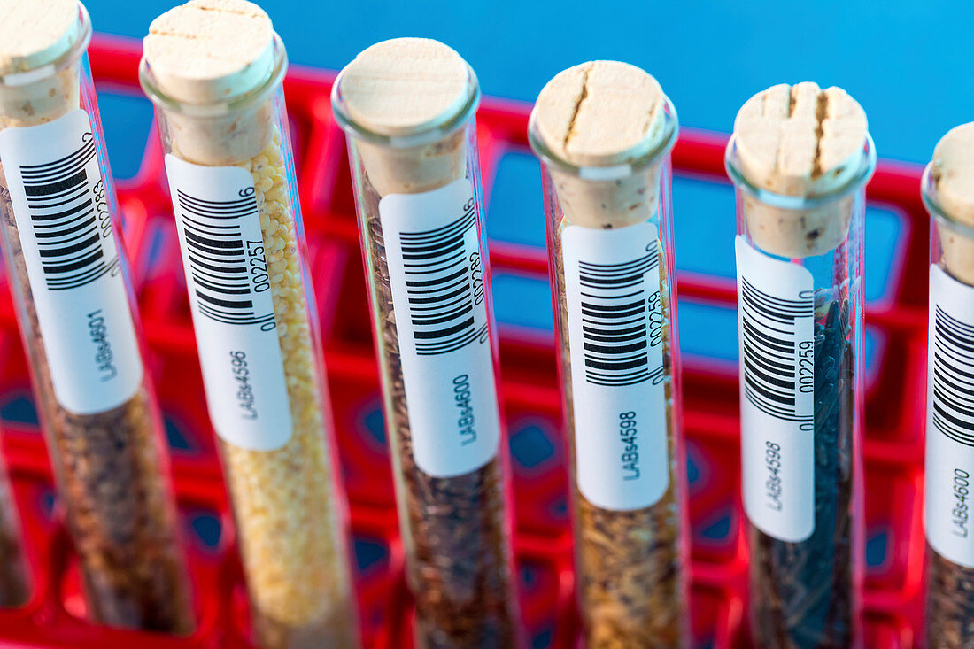 Food samples in test tubes