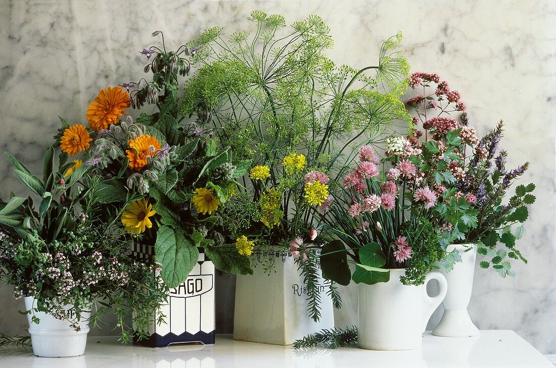 Assorted Blooming Herbs in Pots